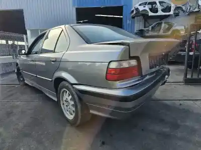 Veículo de Sucata bmw 3 (e36) 316 i do ano 1993 alimentado m43 b16 (164e2)