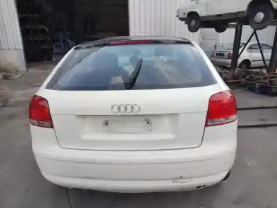 Scrapping Vehicle audi a3 (8p1) 2.0 tdi 16v of the year 2009 powered bkd