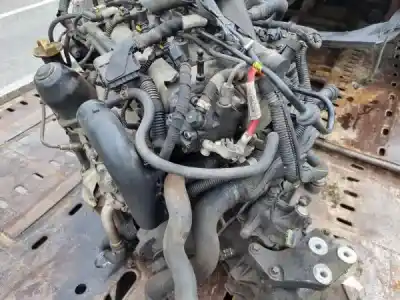 Scrapping Vehicle opel corsa d (s07) 1.3 cdti (l08 l68) of the year 2007 powered a 13 dtc