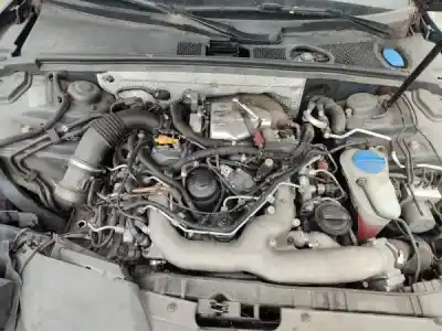 Veículo de Sucata audi a5 cabriolet (8f7) 3.0 tdi quattro do ano 2009 alimentado ccwa