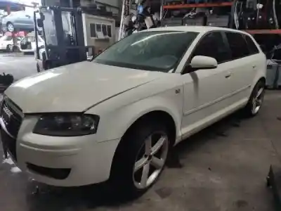 Scrapping Vehicle AUDI A3 (8P1) 1.9 TDI of the year 2009 powered 