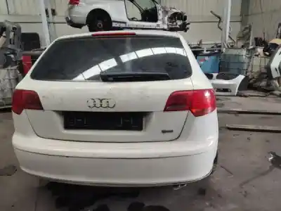 Veículo de Sucata audi a3 (8p1) 1.9 tdi do ano 2009 alimentado 