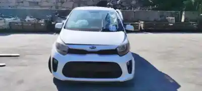 Veicolo di demolizione KIA PICANTO (JA) 1.0 CAT dell'anno 2019 alimentato G3LA