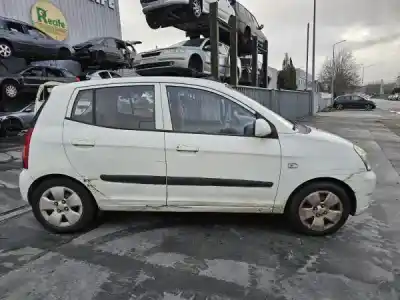 Veículo de Sucata kia picanto (ba) 1.1 crdi gasóleo 2008 5p do ano 2007 alimentado d3fa