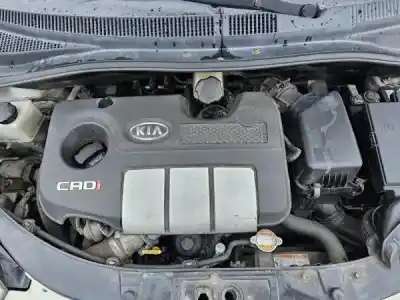 Veículo de Sucata kia picanto (ba) 1.1 crdi gasóleo 2008 5p do ano 2007 alimentado d3fa