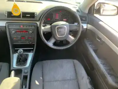 Scrapping Vehicle audi a4 b7 (8ec) 2.0 tdi of the year 2006 powered brd Scrapping Vehicle audi a4 b7 (8ec) 2.0 tdi of the year 2006 powered brd