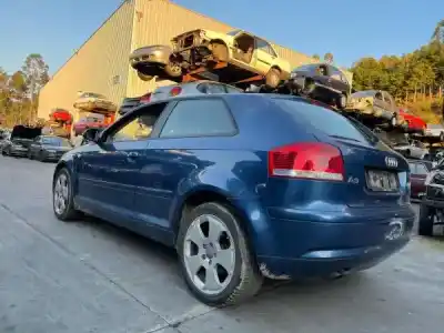 Scrapping Vehicle audi a3 (8p1) 2.0 tdi 16v of the year 2003 powered bkd
