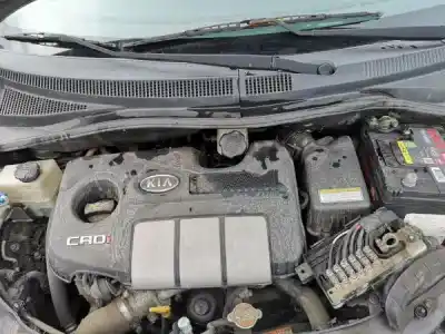 Veículo de Sucata kia picanto (ba) 1.1 crdi gasóleo 2008 5p do ano 2006 alimentado d3fa