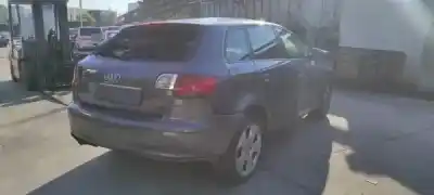 Scrapping Vehicle audi a3 (8p1) 2.0 tdi 16v of the year 2005 powered bkd