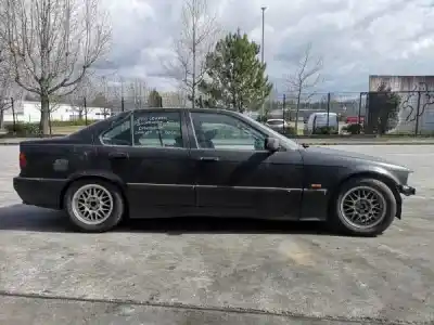 Scrapping Vehicle bmw 3 (e36) 316 i of the year 2005 powered 