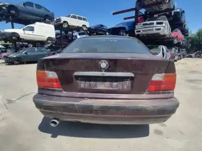 Veículo de Sucata bmw 3 (e36) 316 i do ano 2023 alimentado m43 b16 (164e2)