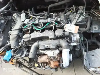 Veicolo di demolizione ford focus ii (da_, hcp, dp) 1.6 tdci dell'anno 2005 alimentato g8da Veicolo di demolizione ford focus ii (da_, hcp, dp) 1.6 tdci dell'anno 2005 alimentato g8da