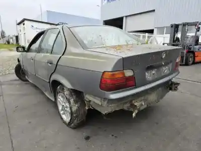 Veículo de Sucata bmw 3 (e36) 316 i do ano 1992 alimentado m40 b16 (164e1)