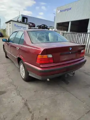 Scrapping Vehicle bmw 3 (e36) 318 tds of the year 1996 powered m41 d17 (174t1)