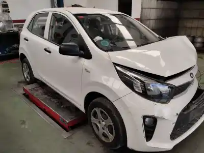 Scrapping Vehicle kia picanto (ja) concept of the year 2018 powered g3la