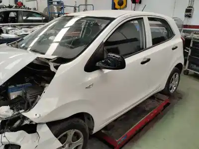 Scrapping Vehicle kia picanto (ja) concept of the year 2018 powered g3la