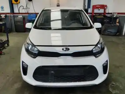 Scrapping Vehicle KIA PICANTO (JA) 1.0 MULTIPUNTO CONCEPT (3 GENERACION) of the year 2021 powered G3LD