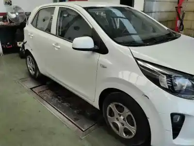 Scrapping Vehicle kia picanto (ja) 1.0 multipunto concept (3 generacion) of the year 2021 powered g3ld