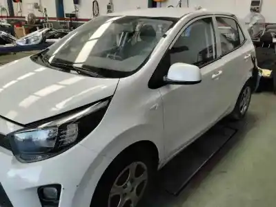 Scrapping Vehicle kia picanto (ja) 1.0 multipunto concept (3 generacion) of the year 2021 powered g3ld
