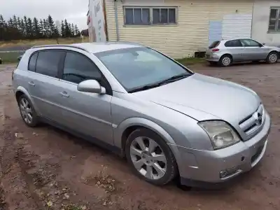 Scrapping Vehicle opel signum 1.9 16v cdti cat (z 19 dth / lrd) of the year 2004 powered z19dth