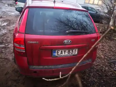 Veicolo di demolizione kia ceed (ed) 1.6 crdi 115 dell'anno 2008 alimentato 