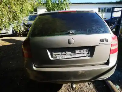 Veículo de Sucata skoda octavia combi (1z5) 1.9 tdi dpf do ano 2006 alimentado bxe