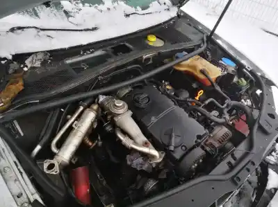 Veículo de Sucata volkswagen passat variant (3b6) 1.9 tdi do ano 2001 alimentado avf