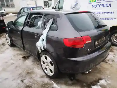 Veículo de Sucata audi a3 (8p1) 2.0 tdi do ano 2005 alimentado azv