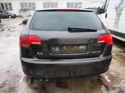 Veículo de Sucata audi a3 (8p1) 2.0 tdi do ano 2005 alimentado azv