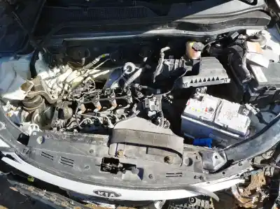 Veicolo di demolizione kia optima 1.7 crdi dell'anno 2012 alimentato r68d d4fdch305859