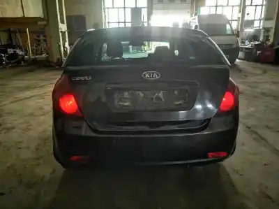 Veículo de Sucata kia ceed (ed) 1.6 crdi 115 do ano 2007 alimentado d4fb7z025348 r74d