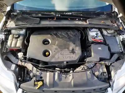 Veículo de Sucata ford focus lim. (cb8) 1.6 tdci cat do ano 2013 alimentado dv6