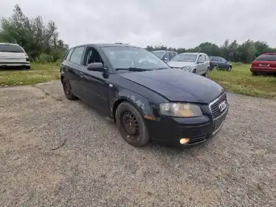 Veicolo di demolizione audi a3 (8p1) 2.0 tdi dell'anno 2006 alimentato bkd
