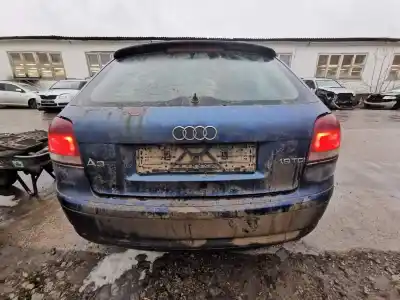 Veicolo di demolizione audi a3 (8p1) 1.9 tdi dell'anno 2004 alimentato bkc