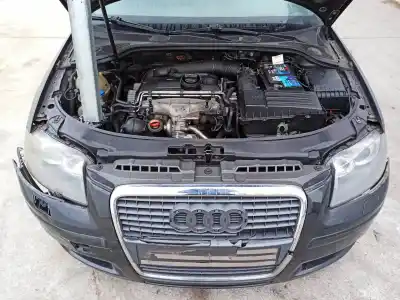 Здавання транспортного засобу audi a3 (8p1) 2.0 tdi 16v року 2004 потужний bkd,cbab,cffb,clja
