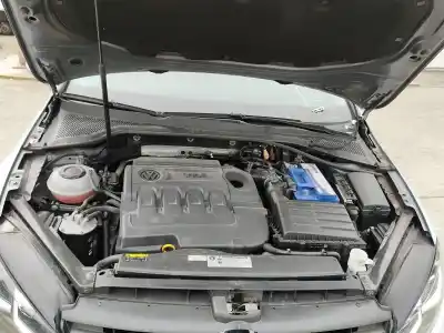 Veículo de Sucata volkswagen golf vii variant (ba5, bv5) 1.6 tdi do ano 2019 alimentado ddya,dgte