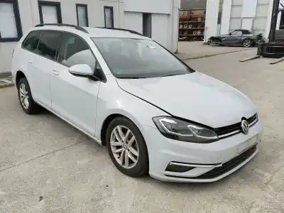 Verschrottungsfahrzeug VOLKSWAGEN GOLF VII VARIANT (BA5, BV5)  des Jahres 2019 angetrieben DDYA,DGTE