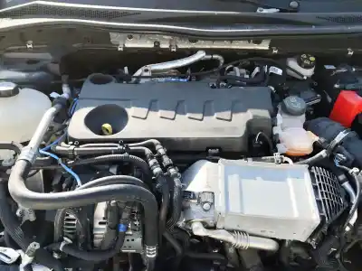 Scrapping Vehicle ford kuga iii (dfk) 2.0 ecoblue mhev of the year 2021 powered yldc