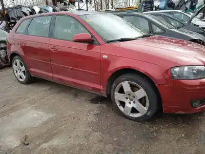 Scrapping Vehicle audi a3 (8p1) 2.0 tdi 16v of the year 2006 powered bkd,cbab,cffb,clja
