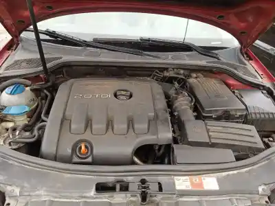 Scrapping Vehicle audi a3 (8p1) 2.0 tdi 16v of the year 2006 powered bkd,cbab,cffb,clja