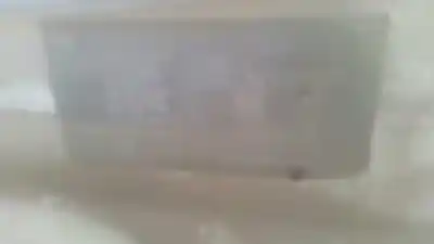 Veículo de Sucata seat cordoba berlina (6k2) 1.6 do ano 1996 alimentado 1f