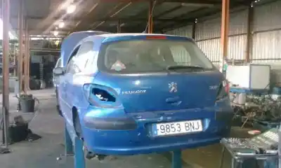 Scrapping Vehicle peugeot 307 (s1) xn of the year 2002 powered nfu