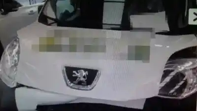 Scrapping Vehicle PEUGEOT BIPPER Básico of the year 2014 powered 199A9000