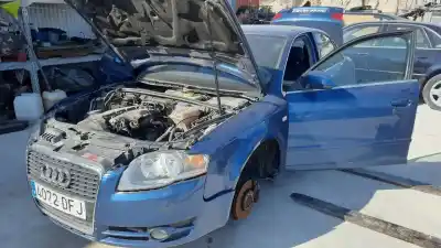 Veículo de Sucata audi a4 berlina (8e) 2.0 tdi do ano 2005 alimentado blb
