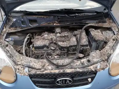 Veículo de Sucata kia picanto 1.0 concept do ano 2010 alimentado 