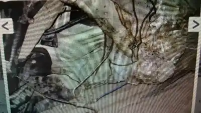 Veículo de Sucata bmw x5 (e53) 3.0d do ano 2001 alimentado 306d1d