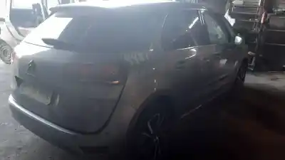 Sloopvoertuig citroen c4 berlina feel pack van het jaar 2019 aangedreven hn05