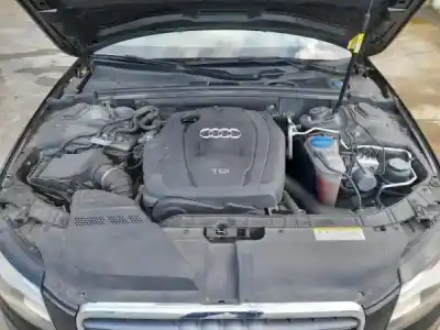 Scrapping Vehicle audi a4 (8k2, b8) gasóleo 2011 4p of the year 2011 powered 