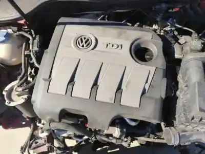 Veículo de Sucata volkswagen golf vi (5k1) 1.6 tdi do ano 2010 alimentado 