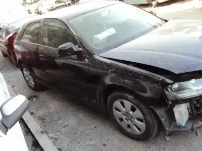 Scrapping Vehicle audi a3 (8p) 1.9 tdi ambiente of the year 2009 powered bls Scrapping Vehicle audi a3 (8p) 1.9 tdi ambiente of the year 2009 powered bls